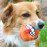 Rogz Пухкава играчка Fluffy grinz в оранжев цвят L размер (80 мм)